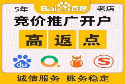行业领先SEM托管代运营案例